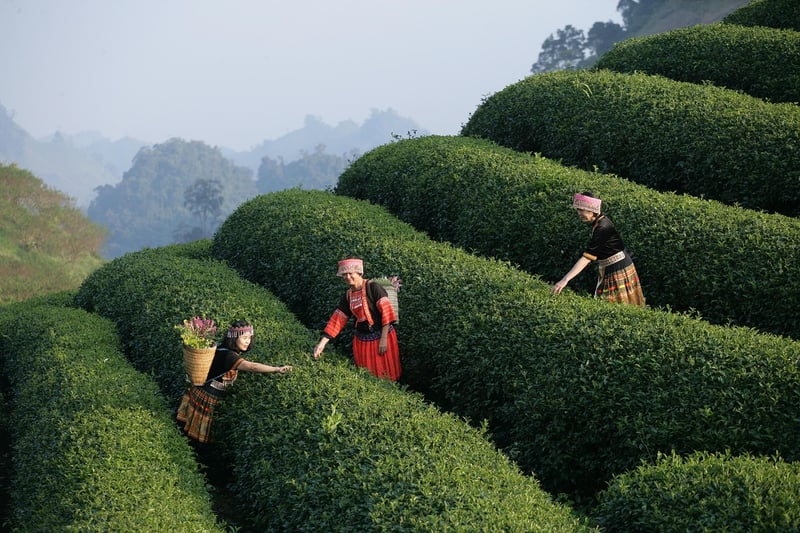 Epicurean experiences