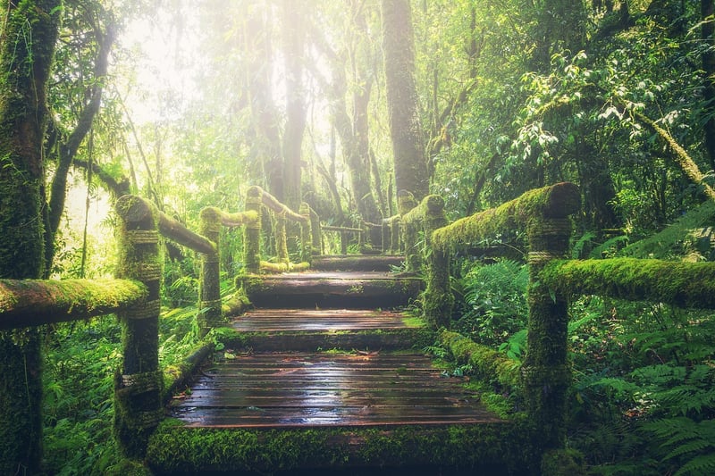Nature trail adventures